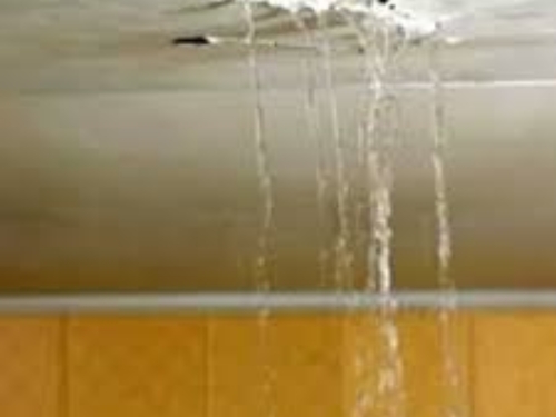 Bathroom Leakage Fixes